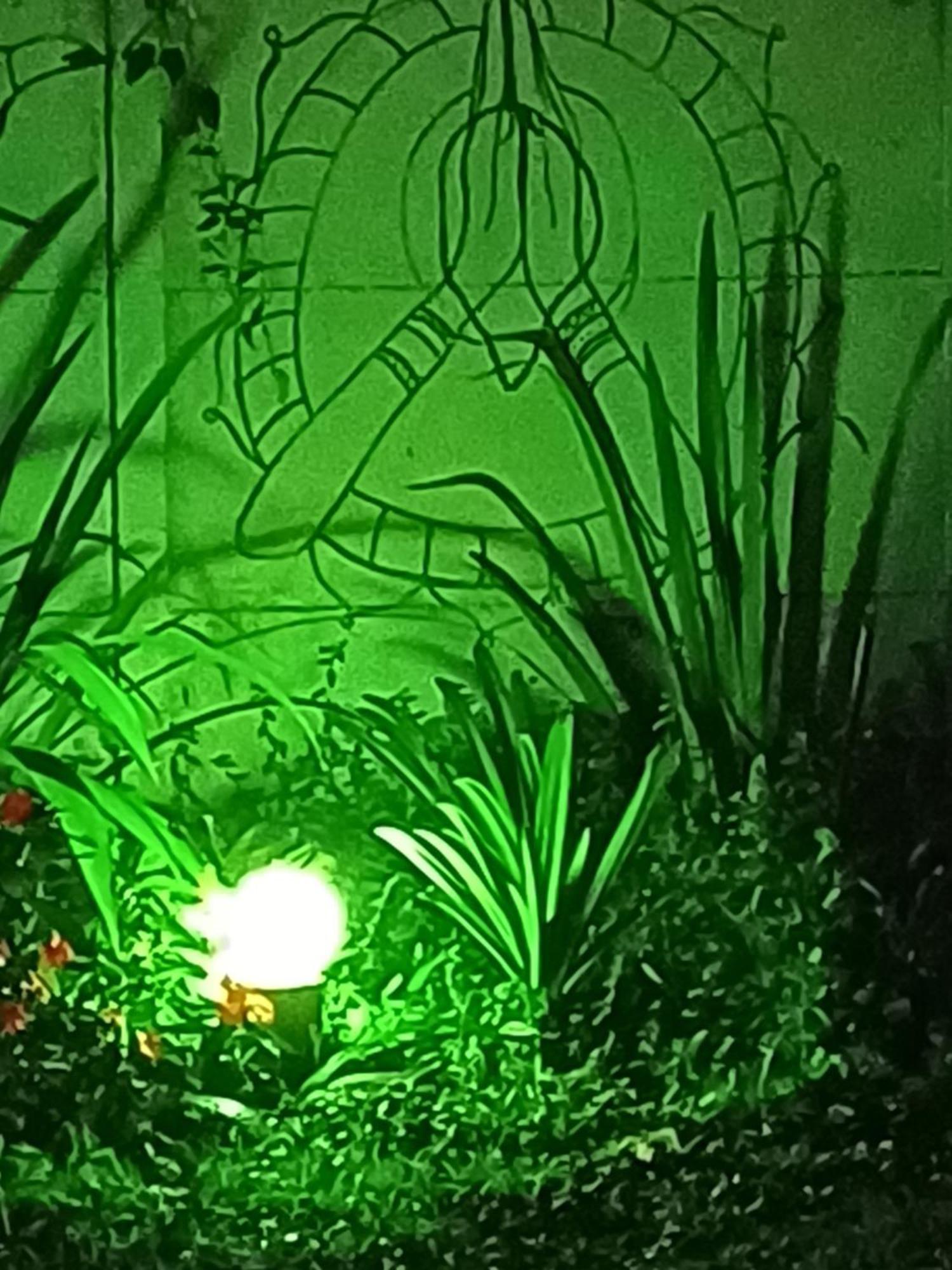 Hospedagem Namaste Visconde de Mauá Eksteriør bilde